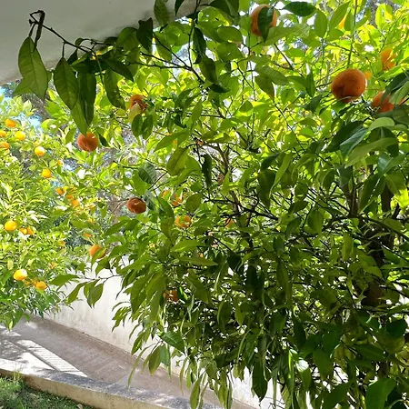 Cozy Fairytal Garden Apartment, Family Friendly, Free Parking, 15 Min To Airport Appartement *